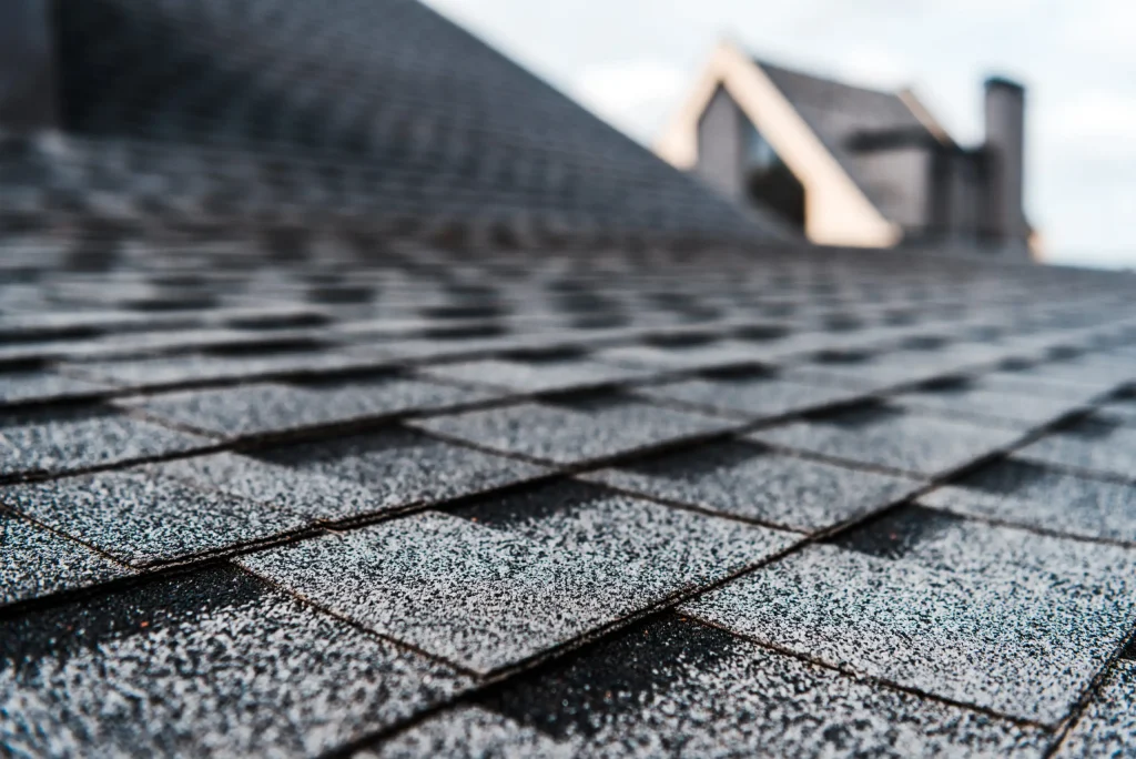 Companie de acoperișuri
